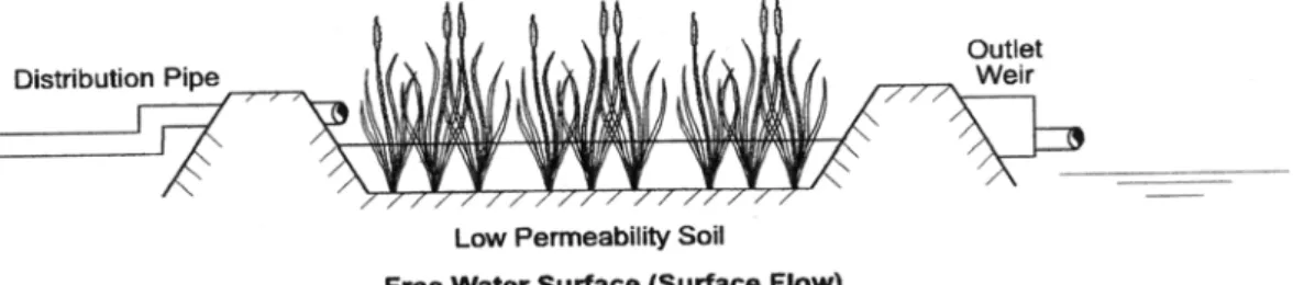 Figure 1.1b.  SF Constructed Wetland Illustrative Cross-section (After: Kadlec and Knight, 1996)