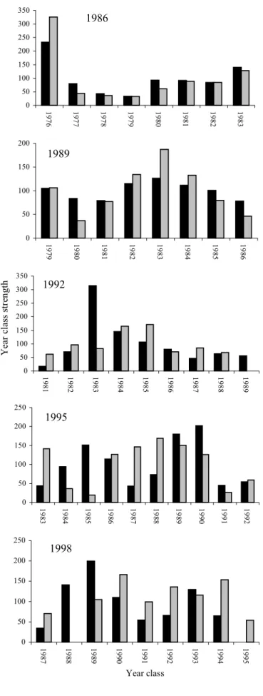 Figure 3.5.  Variation in year class strength of roach in the Chelmer Blackwater Canal between spring (solid bar) and autumn in the same year (shaded bar).