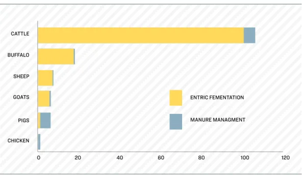 Figure 2.2: Annual methane emissions related to livestock (million tons)