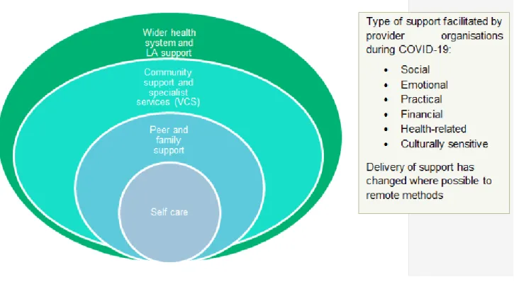 Figure 13: Type of support facilitated or delivered by provider organisations  