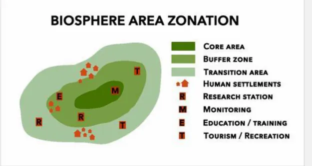 Fig ure  3.   Biosphere  Area Zonation (After Netherlands  National Commission  for UNESCO)  Comment  [KA1]: Ref? 