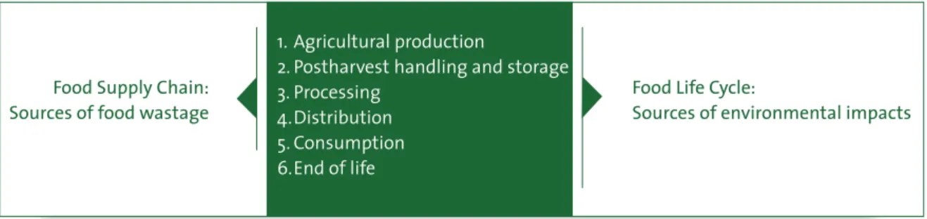 Figure 1: Sources of food wastage and sources of environmental impacts in the food life cycle