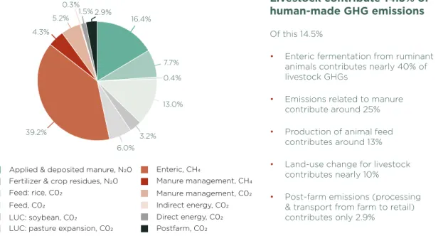 Figure 2: Global greenhouse gas emissions from livestock production by emissions  source and gas type