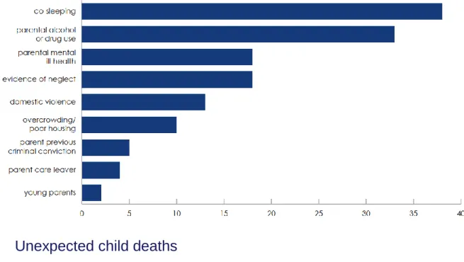 Figure 8: Risk factors identified in notified cases of sudden unexpected death in infancy  (SUDI) – national study