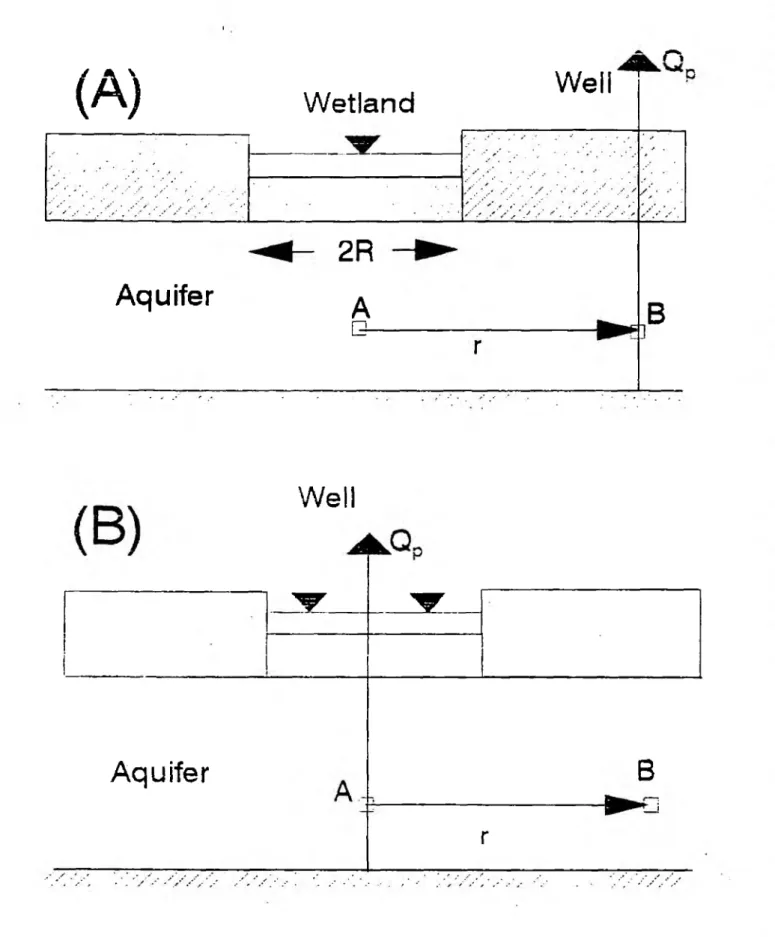 Figure  A 2 .1  Schematic  diagram  of wetland  model  used  to  develop  new  well  function.
