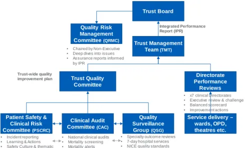 Figure 5 :  Quality improvement governance structure 