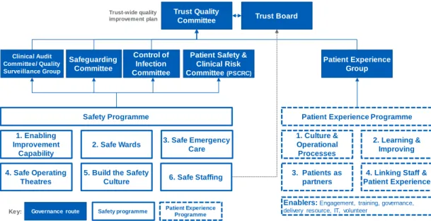 Figure 6 :  Safety and Patient Experience Improvement Programme structure 