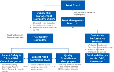 Figure 6 :  Quality improvement governance structure 